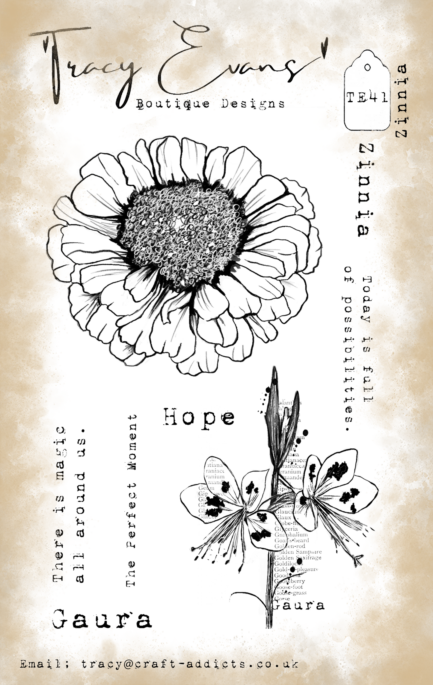 TE041 - Zinnia (A6 Stamp)