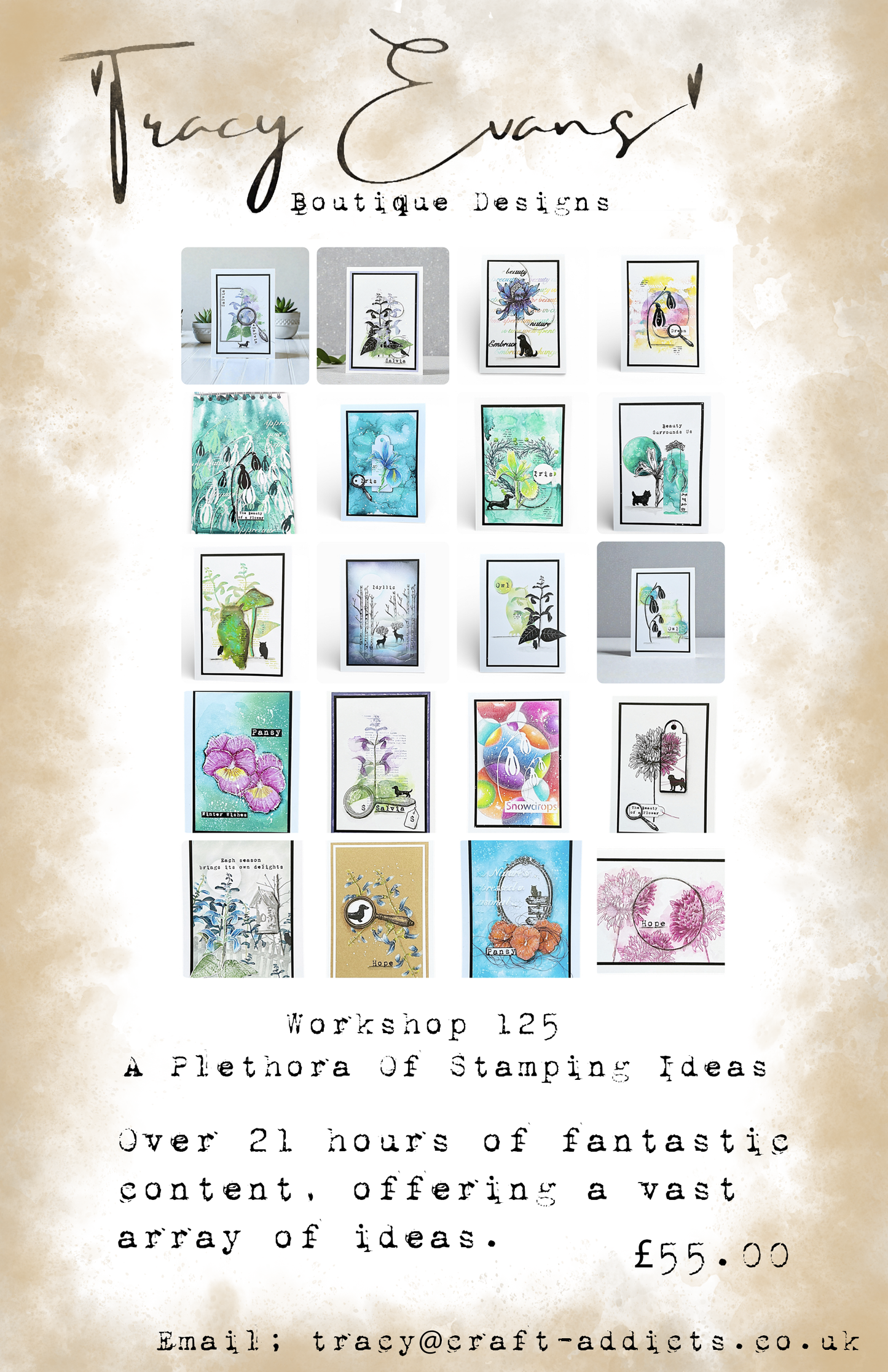 Workshop 125 - A Plethora Of Stamping Ideas - Over 21 hours of content.