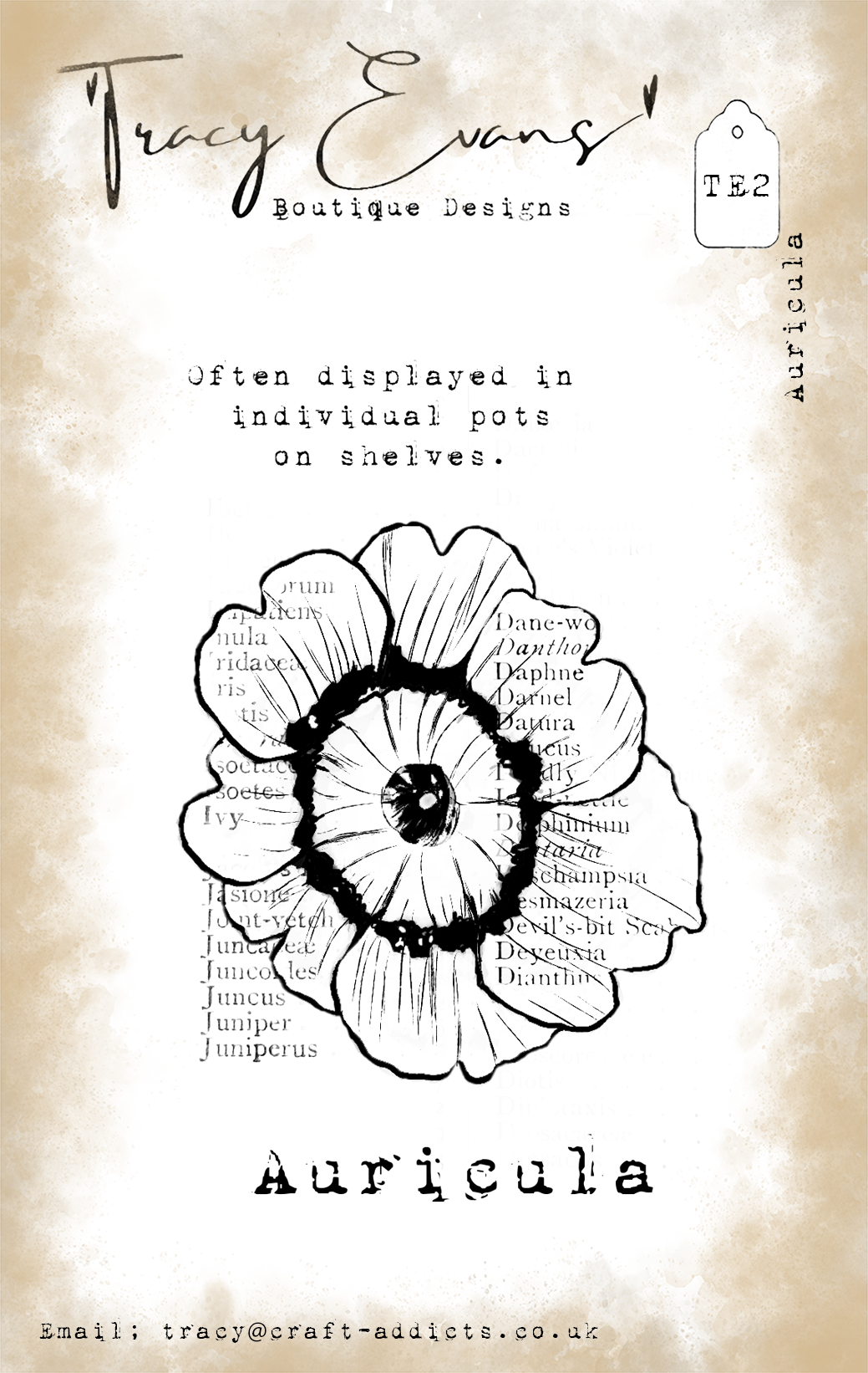 TE002 - Auricula (A7 stamp)