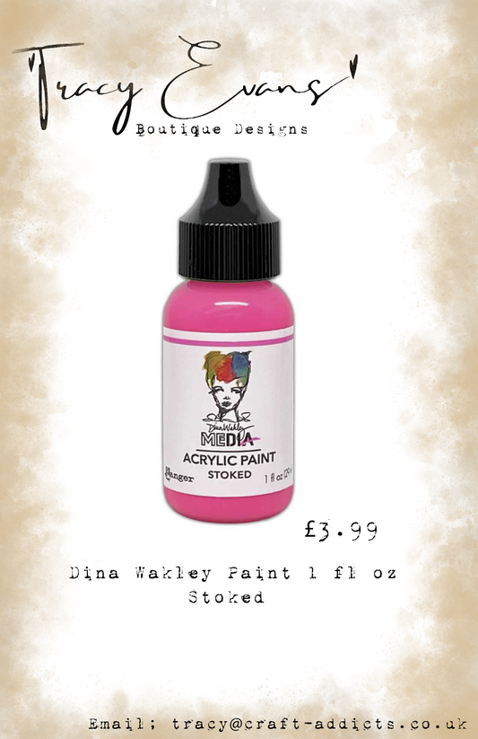 PA004 - Dina Wakley Paints Stoked 1 fl oz