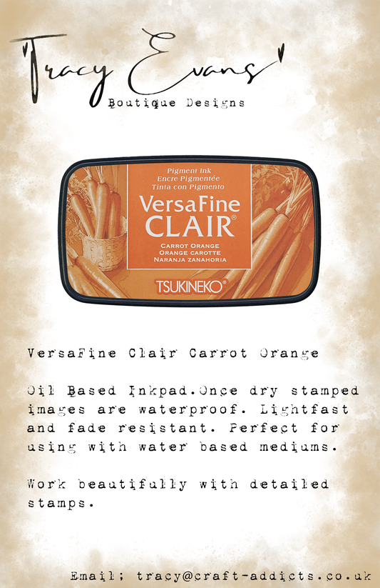 IN039 - VersaFine Clair Carrot Orange - New Colour For 2026