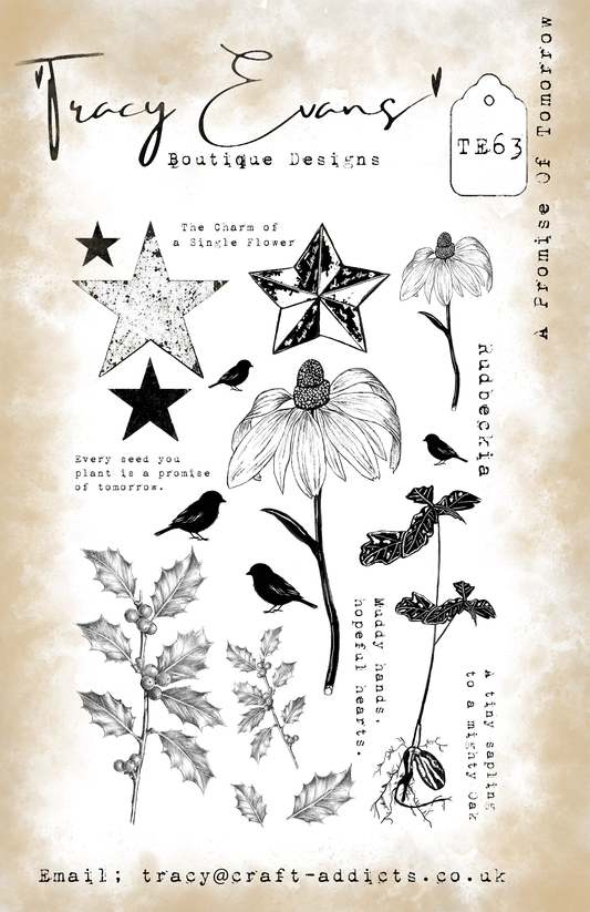 TE063 - A Promise Of Tomorrow (A5 Stamp)
