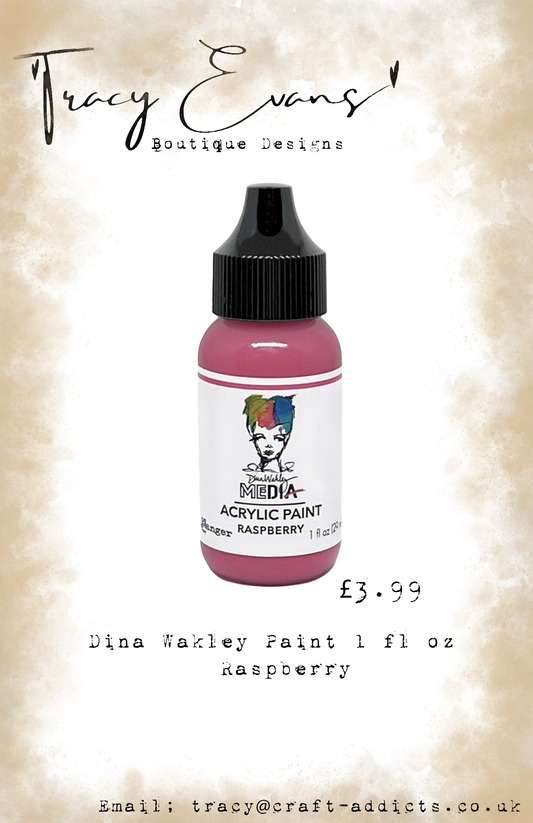 PA042 - Dina Wakley Paints Raspberry 1fl oz