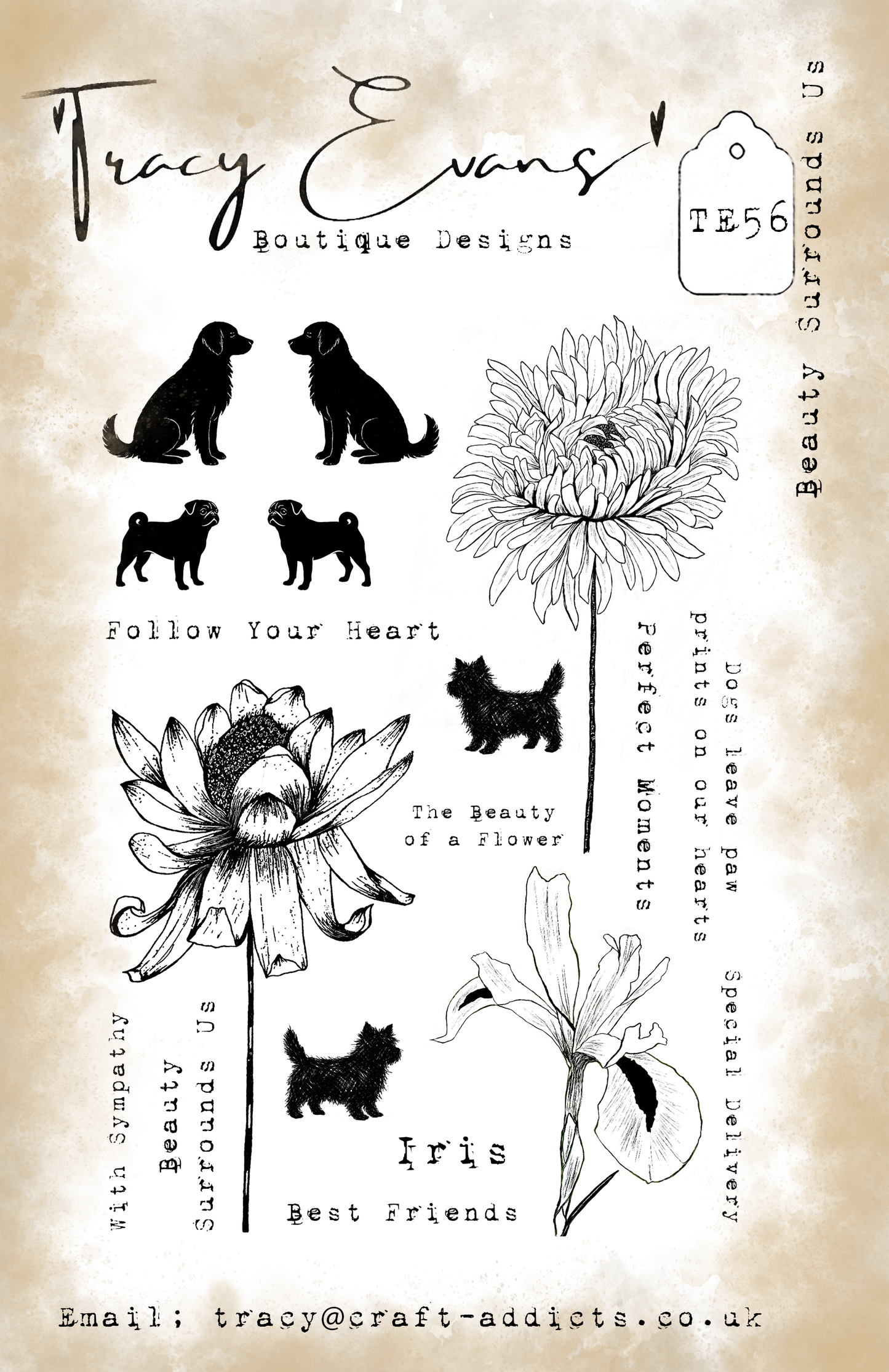 TE056 - Beauty Surrounds Us (A5 Stamp)