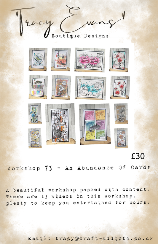 Workshop 073 - An Abundance Of Cards